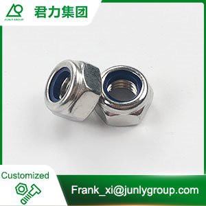 Stainless Steel Lock Nuts